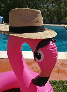 Village-Swan'); DROP TABLE Villages; --.jpeg